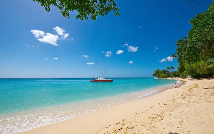 Luxury Villas in Barbados Tile